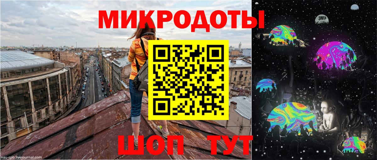 Галлюциногенные грибы Psilocybe Серпухов