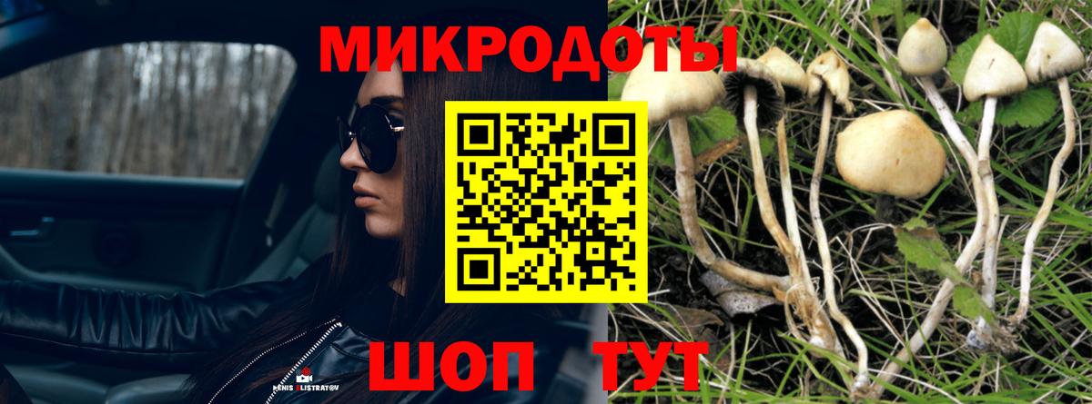 Серпухов  Галлюциногенные грибы мухоморы  Вход с VPN 